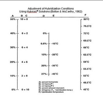 Dextran Sulfate 50% Solution