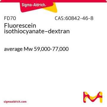 Isotiocianato de fluoresceína–dextrana average Mw 59,000-77,000