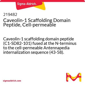 Caveolin-1 Scaffolding Domain Peptide, Cell-permeable Caveolin-1 scaffolding domain peptide (C1-SD82-101) fused at the N-terminus to the cell-permeable Antennapedia internalization sequence (43-58).