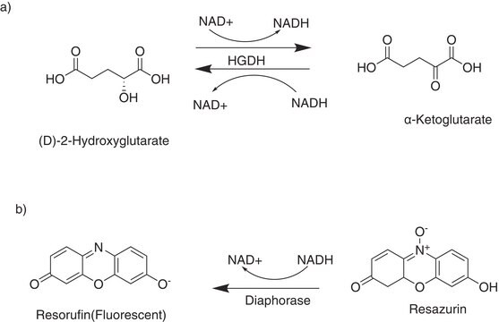 D-2-Hydroxyglutarat (D2HG) Assay-Kit sufficient for 200 fluorometric reactions