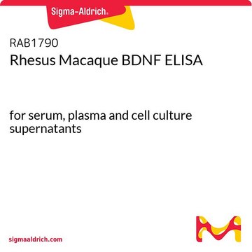 Rhesus Macaque BDNF ELISA for serum, plasma and cell culture supernatants