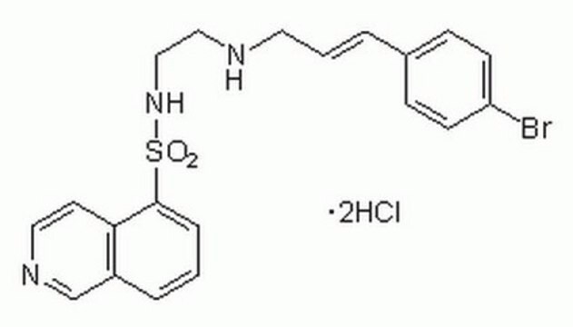 H-89，二盐酸盐 A cell-permeable, selective, reversible, ATP-competitive and potent inhibitor of protein kinase A (Ki = 48 nM).