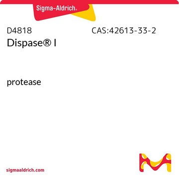 Dispase&#174; I protease