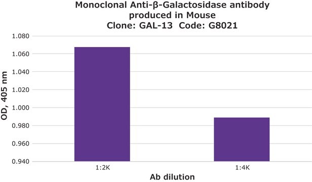 Monoclonal Anti-&#946;-Galactosidase antibody produced in mouse clone GAL-13, ascites fluid