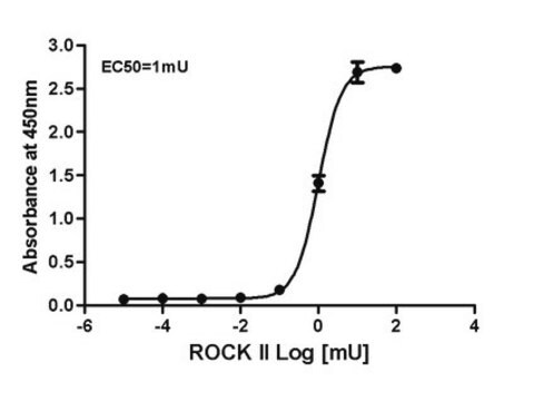 Rho-associated Kinase (ROCK) Activity Assay This Rho-associated Protein Kinase (ROCK) Activity Assay Kit is an enzyme immunoassay for detection of the active ROCK &amp; DMPK family kinases.