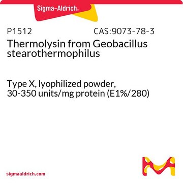 サーモリシン from Geobacillus stearothermophilus Type X, lyophilized powder, 30-350&#160;units/mg protein (E1%/280)