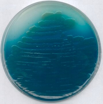 Pseudomonas agar P (baza) suitable for microbiology