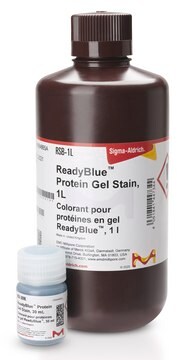 READYBLUE&#174; PROTEIN GEL STAIN