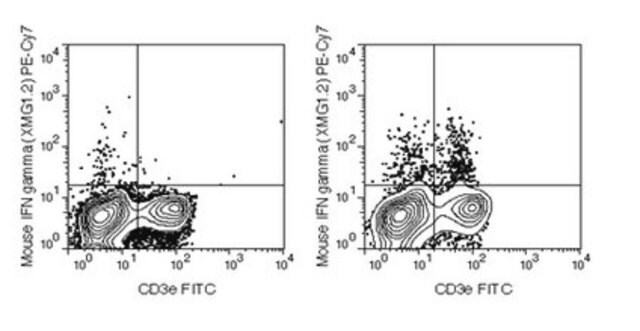 Przeciwciało przeciw mysiemu IFN gamma, PE-Cy7, klon XMG1.2 clone XMG1.2, from rat, PE-Cy7