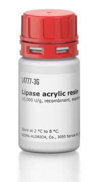 Lipase-Acrylharz aus Candida antarctica &#8805;5,000&#160;U/g, recombinant, expressed in Aspergillus niger