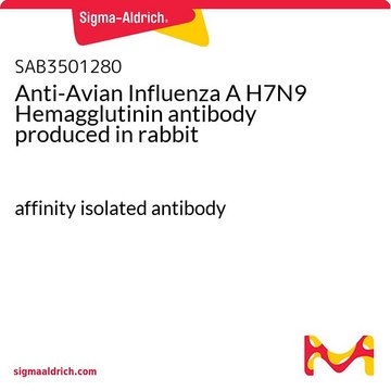 Anti-Avian Influenza A H7N9 Hemagglutinin antibody produced in rabbit affinity isolated antibody