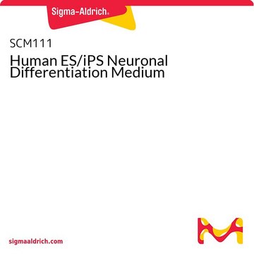 ヒト ES/iPS ニューロン分化培地