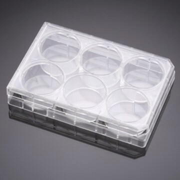 Corning&#174; Falcon&#174; Cell Culture Insert Companion Plate wells, 6, Tissue Culture (TC)-treated surface, sterile