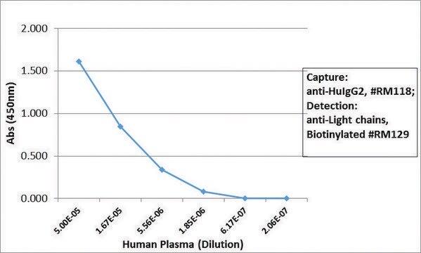 Anti-Human IgG2 antibody, Rabbit monoclonal recombinant, expressed in HEK 293 cells, clone RM118, purified immunoglobulin