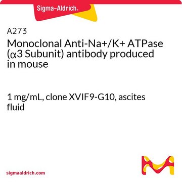 モノクローナル抗Na+/K+ ATPアーゼ(&#945;3サブユニット)抗体 マウス宿主抗体 1&#160;mg/mL, clone XVIF9-G10, ascites fluid