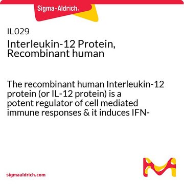 Białko interleukiny-12, rekombinowane ludzkie The recombinant human Interleukin-12 protein (or IL-12 protein) is a potent regulator of cell mediated immune responses &amp; it induces IFN-gamma production by NK &amp; T cells.