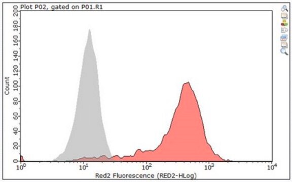 Anti-Ras Antibody, clone RAS10, Alexa Fluor&#8482; 647 Conjugate clone RAS10, from mouse, ALEXA FLUOR&#8482; 647