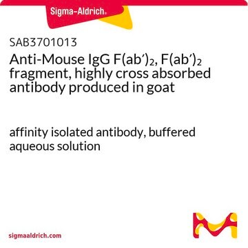 Anti-Mouse IgG F(ab&#8242;)2, F(ab&#8242;)2 fragment, highly cross absorbed antibody produced in goat affinity isolated antibody, buffered aqueous solution