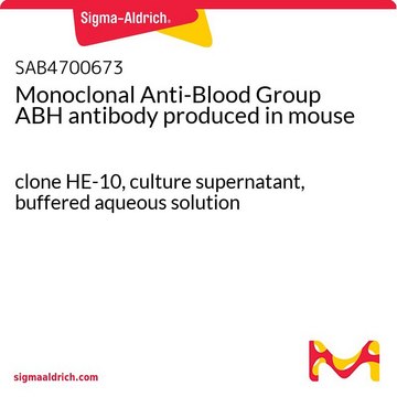 Monoclonal Anti-Blood Group ABH antibody produced in mouse clone HE-10, culture supernatant, buffered aqueous solution