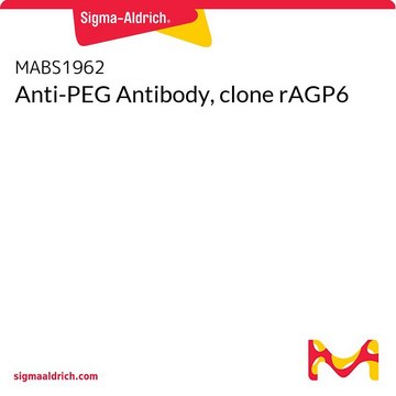 Anti-PEG Antibody, clone rAGP6