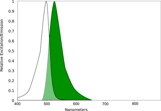 AQuora&#174;Fluorescein-NHS Ester