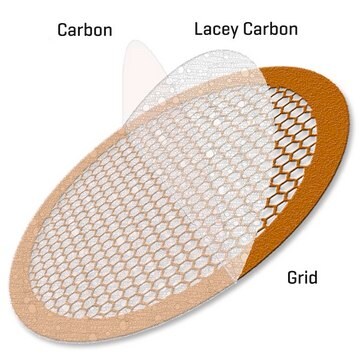 Continuous Ultrathin Carbon Film Coated Lacey Carbon Supported Gold Grid size 400&#160;mesh, box of 5