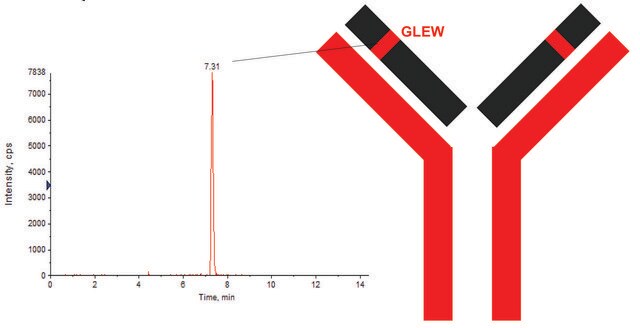 8208MAbPrzeciwciało monoklonalne znakowane stabilnym izotopem rytuksymabu recombinant, expressed in CHO cells