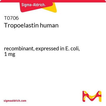 原弹性蛋白 人 recombinant, expressed in E. coli, 1&#160;mg