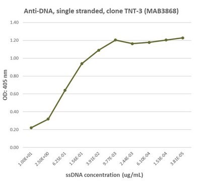 Anti-DNA-Antikörper, Einzelstrang clone TNT-3, Chemicon&#174;, from mouse