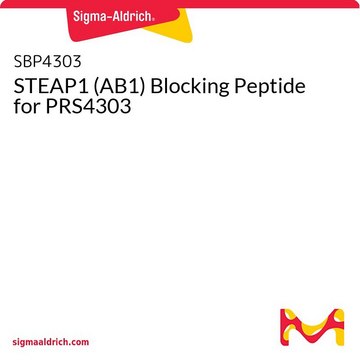 STEAP1 (AB1) Blocking Peptide for PRS4303