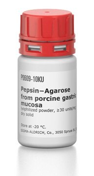 Agarose&#8722;pepsine from porcine gastric mucosa lyophilized powder, &#8805;30&#160;units/mg dry solid