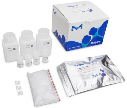 GDS E. coli O157:H7 Tq suitable for RT-PCR, for Escherichia coli 