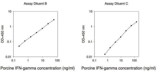 猪IFN &#947; ELISA试剂盒 for serum, plasma and cell culture supernatant