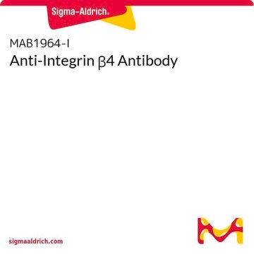 Anti-Integrin &#946;4 Antibody