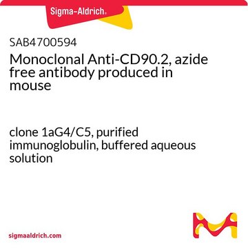 Monoclonal Anti-CD90.2, azide free antibody produced in mouse clone 1aG4/C5, purified immunoglobulin, buffered aqueous solution