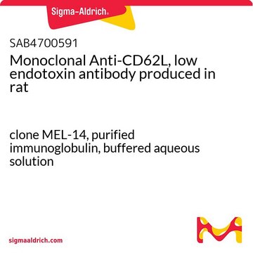 Monoclonal Anti-CD62L, low endotoxin antibody produced in rat clone MEL-14, purified immunoglobulin, buffered aqueous solution