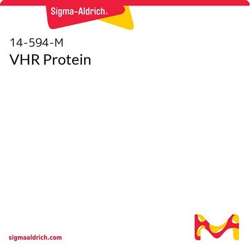 VHR Protein