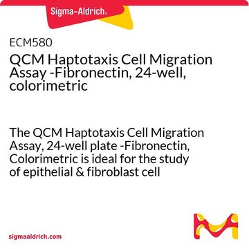 Essai de migration cellulaire QCM basé sur l'haptotaxie, sur plaque à 24&nbsp;puits, avec fibronectine et méthode colorimétrique The QCM Haptotaxis Cell Migration Assay, 24-well plate -Fibronectin, Colorimetric is ideal for the study of epithelial &amp; fibroblast cell haptotaxis.