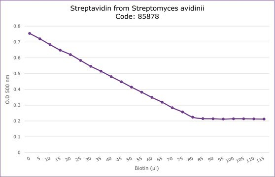 Streptavidine from Streptomyces avidinii affinity purified, lyophilized from 10 mM potassium phosphate, &#8805;13&#160;U/mg protein