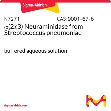 &#945;(2→3)ノイラミニダーゼ 肺炎レンサ球菌由来 buffered aqueous solution