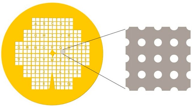 QUANTIFOIL on London Finder Grids (H2) Gold Grids, size 200&#160;mesh, pack of 100