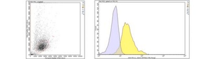 抗PD-L1抗体，克隆10F.9G2 clone 10F.9G2, from rat