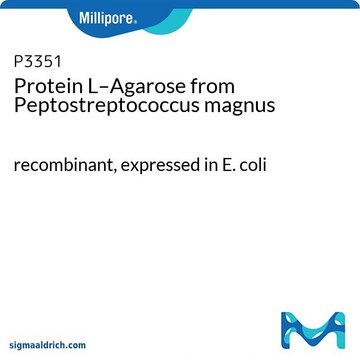 Protein-L-Agarose aus Peptostreptococcus magnus recombinant, expressed in E. coli