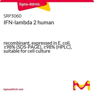 IFN-&#955;2 ヒト recombinant, expressed in E. coli, &#8805;98% (SDS-PAGE), &#8805;98% (HPLC), suitable for cell culture