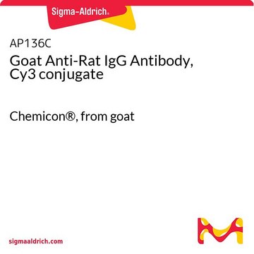 Goat Anti-Rat IgG Antibody, Cy3 conjugate Chemicon&#174;, from goat