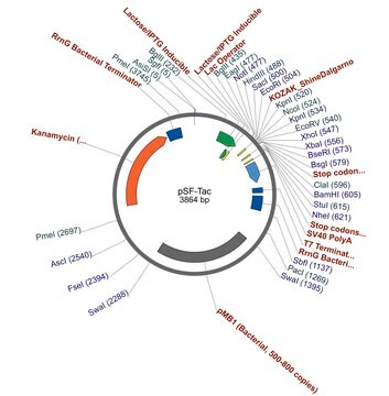 PSF-TAC - PTAC INDUCIBLE BACTERIAL PLASMID plasmid vector for molecular cloning