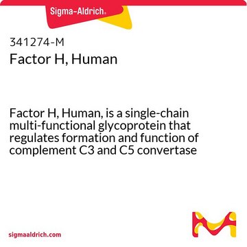 Faktor&nbsp;H, vom Menschen Factor H, Human, is a single-chain multi-functional glycoprotein that regulates formation and function of complement C3 and C5 convertase enzymes.