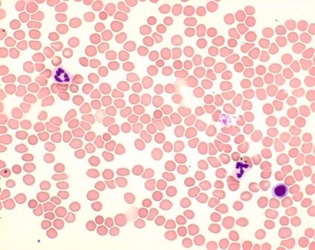 Giemsa&#8242;s天青曙红亚甲蓝溶液 for microscopy