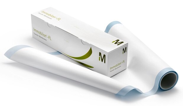 Membrana Immobilon&#174;-FL in PVDF 1 roll, 27 cm x 3.75 m, 0.45 &#181;m pore size, Hydrophobic PVDF Transfer Membrane with low background fluorescence for Western blotting. Compatible with visible and infrared fluorescent probes.