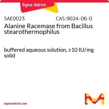 Racemaza alaninowa z Bacillus stearothermophilus buffered aqueous solution, &#8805;10&#160;IU/mg solid